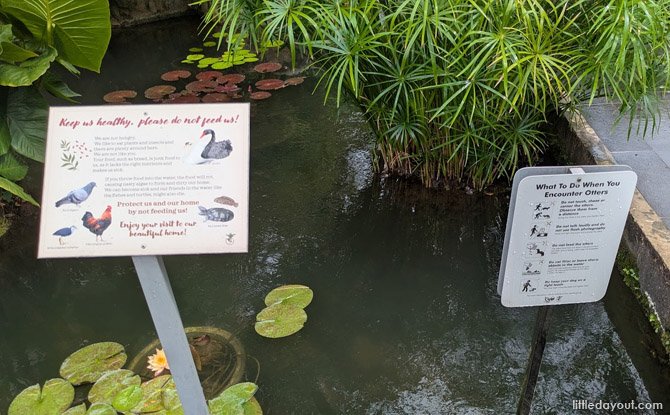 Kid-Friendly Guide to Singapore Botanic Gardens 1 what is not allowed at Singapore Botanic Gardens.