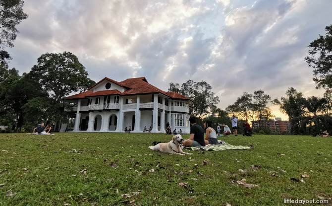 Kid-Friendly Guide to Singapore Botanic Gardens 18 The Gallop Valley