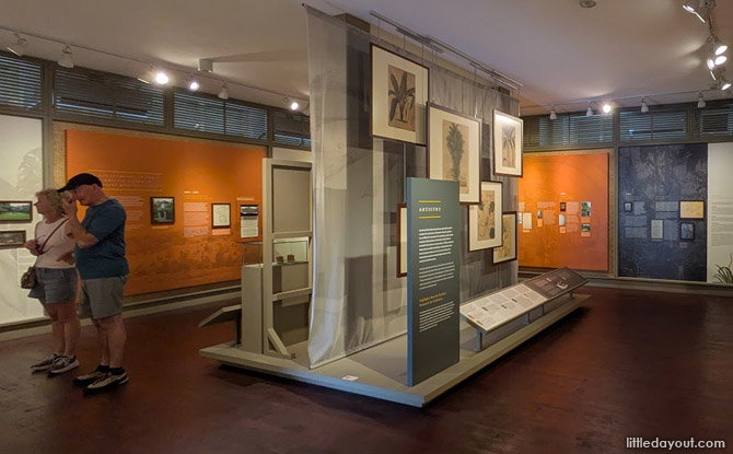 Kid-Friendly Guide to Singapore Botanic Gardens 10 SBG heritage gallery