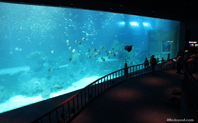SEA Aquarium