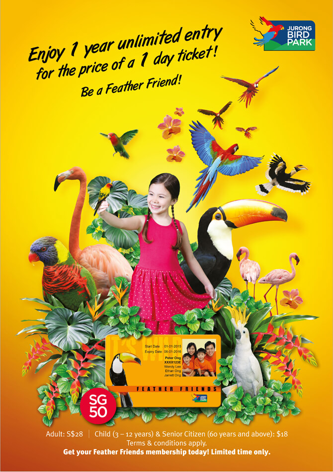 SG50-Promo-for-Feather-Friends