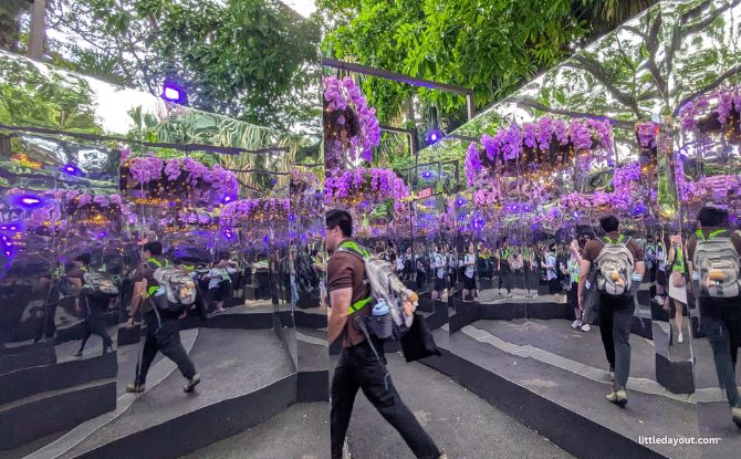 Singapore Garden Festival: Best Of Tropical Landscape Design & Showstopping Floral Displays From 4 To 12 July 5 Floral Mirror Maze