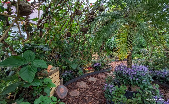 Singapore Garden Festival: Best Of Tropical Landscape Design & Showstopping Floral Displays From 4 To 12 July 11 Fruit Orchard