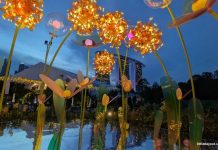 Singapore Garden Festival: Best Of Tropical Landscape Design & Showstopping Floral Displays From 4 To 12 July