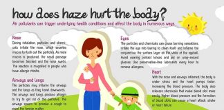 SGH-HowDoesHazeHurtTheBody