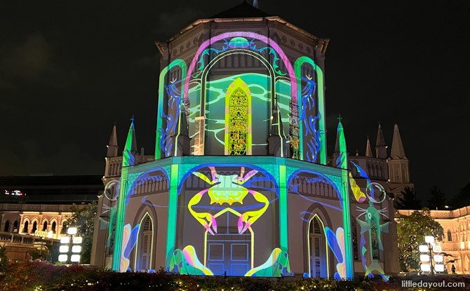 enchanting Island Night stories