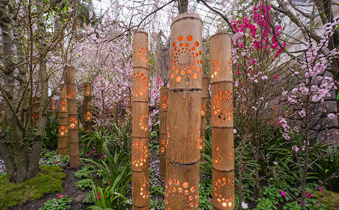 Lanterns at Sakura 2025, Flower Dome