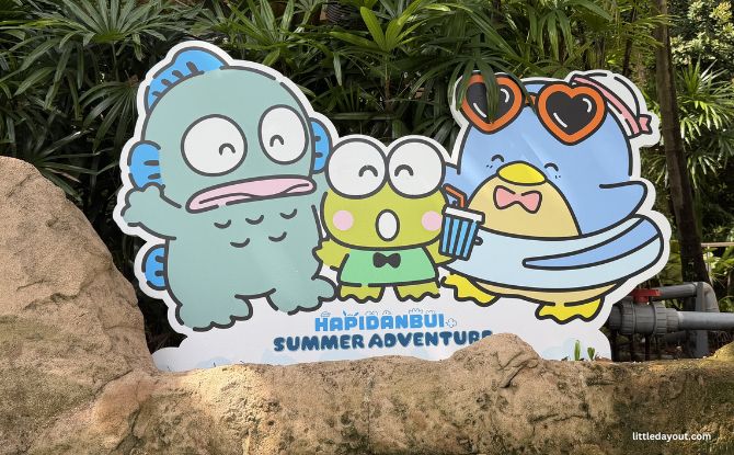 Sanrio Hapidanbui Summer At Adventure Cove Waterpark 7 Soak in the Vibes at Sanrio Hapidanbui Summer