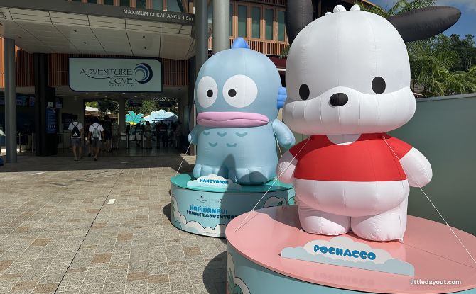 Sanrio Hapidanbui Summer At Adventure Cove Waterpark 1 Sanrio Hapidanbui Summer at Adventure Cove Waterpark