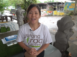 jurong frog farm