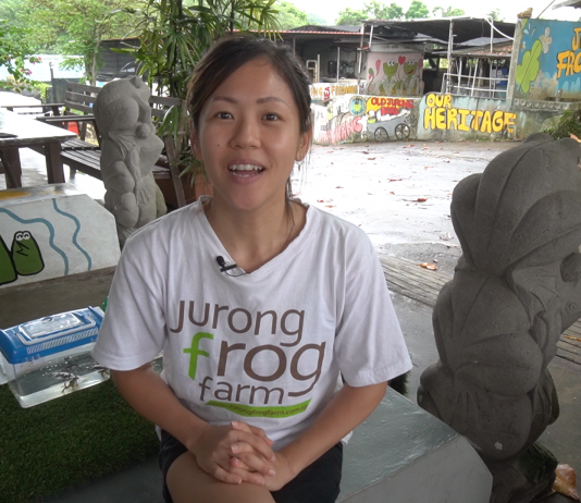 jurong frog farm
