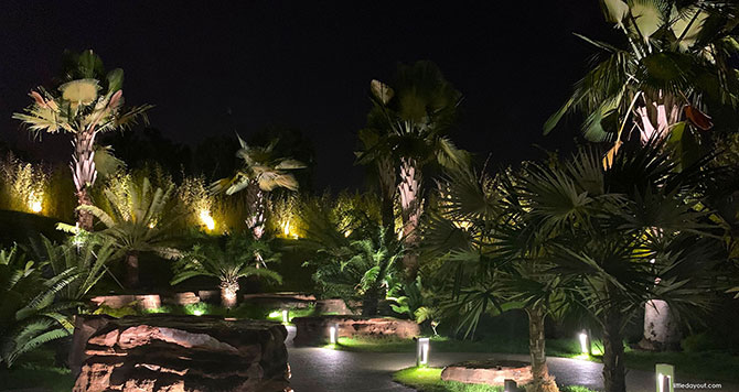 Serene Garden at Gardens by the Bay