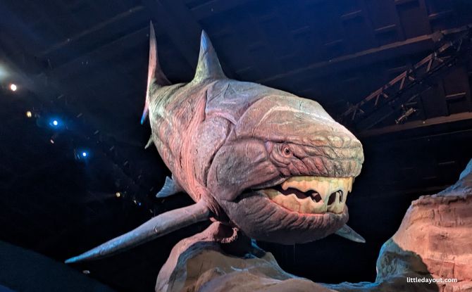 Singapore Oceanarium's Ocean in Focus: Apex Predators, BTS Shark Experience 1 Dunkleosteus replica