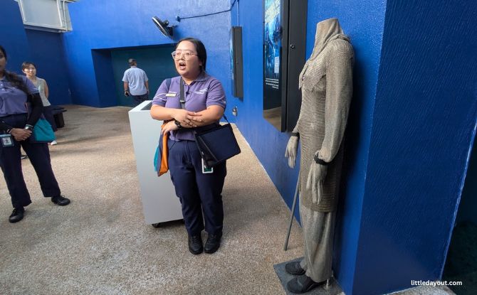 Singapore Oceanarium's Ocean in Focus: Apex Predators, BTS Shark Experience 4 chainmail safety equipment