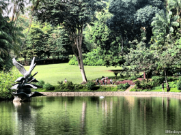 Singapore Botanic Gardens Heritage Festival 2020: 7 Things To Look Forward To
