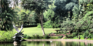 Singapore Botanic Gardens Heritage Festival 2020: 7 Things To Look Forward To