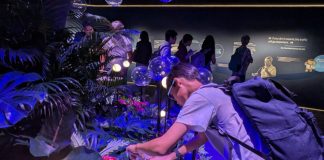 Free Exhibition On Changi Airport's Largest Terminal: T5 In The Making