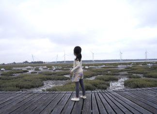 11D10N Taiwan Family Itinerary With Young Kids & Grandparents