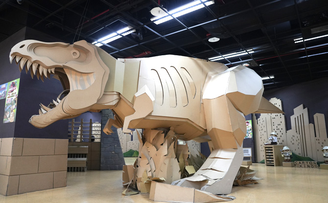 Day 5 – Lavender Hills, Cardboard Magic & Chocolate