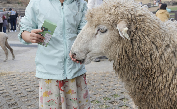 Afternoon: Qingjing Farm