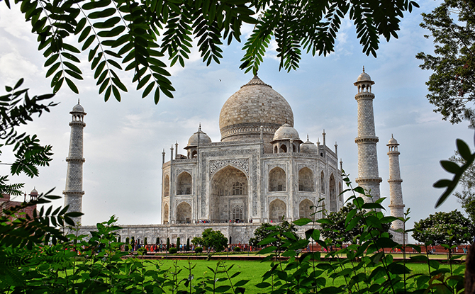 Interesting Taj Mahal Facts for Kids - Taj Mahal Surrounded by Foliage