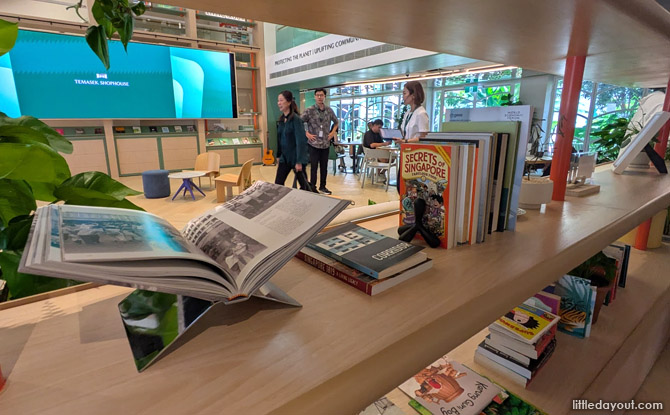 Temasek shophouse 02