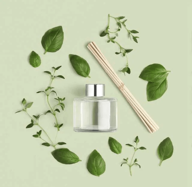 The Body Shop Basil & Thyme Reed Diffuser