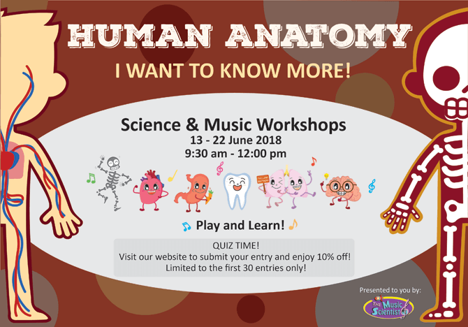 The Music Scientist's Human Anatomy Science and Music Workshops