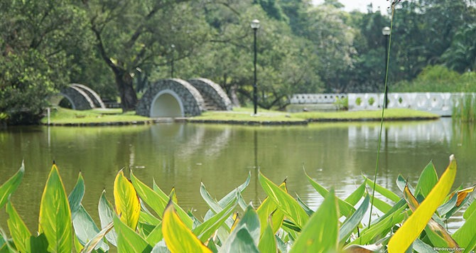 Toa Payoh Town Park - Singapore Virtual Background