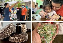 Interactive Eco-Booths & Stamp Rally At 5 HDB Malls In Woodlands From 13 to 29 March: Turn Trash To Treasure During The School Holidays Interactive Eco-Booths & Stamp Rally At 5 HDB Malls In Woodlands From 13 to 29 March: Turn Trash To Treasure During The School Holidays