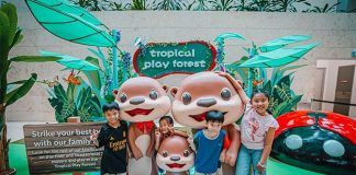 "Explore & Play" A Tropical Play Forest Playground & Otter-Themed Spots At Changi Airport