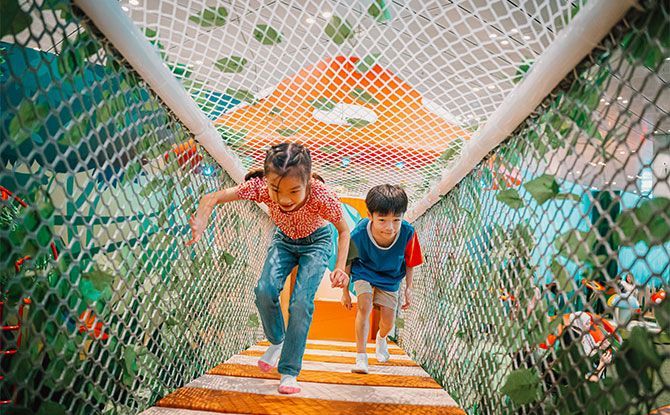 Treetop Walk