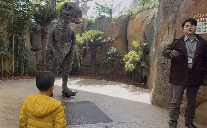 Universal Studios Beijing: Top Tips & Must-Knows Before Visiting 9 Jurassic World Isla Nublar