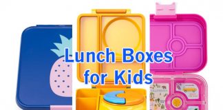 We-Tried-Three-lunch-boxes