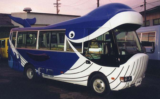 Whale Bus