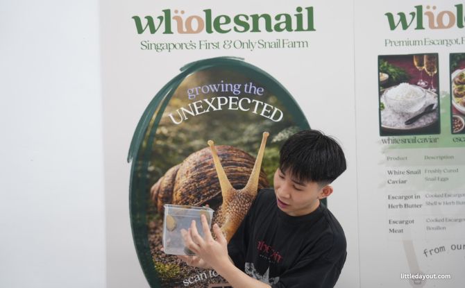WholeSnail Family Review: Touring Singapore's First Snail Farm 1 Visiting WholeSnail, Singapore's First Snail Farm