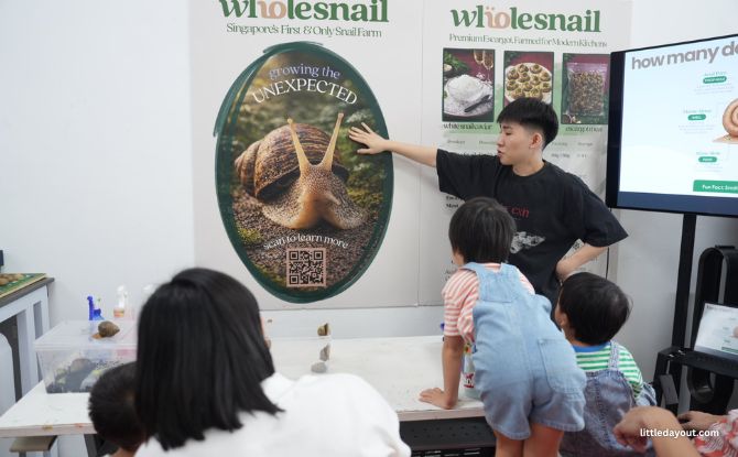 WholeSnail Family Review: Touring Singapore's First Snail Farm 2 Family-friendly Tour at WholeSnail's Breeding Facility