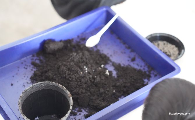 WholeSnail Family Review: Touring Singapore's First Snail Farm 4 how staff separate snail eggs from the soil.