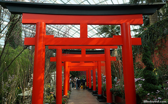 Torii gates at Gardens by the Bay, Sakura Matsuri 2019