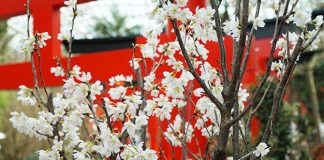 Gardens By The Bay’s Sakura Floral Display 2021 Opens 1 March With Hello Kitty