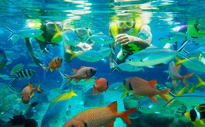 a-Adventure-Cove-Waterpark---Rainbow-Reef Klook Is Having A 1-For-1 Flash Deal On Adventure Cove Waterpark Tickets