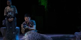 Amazing Guide To Night Safari: See The Animals In Nocturnal Settings