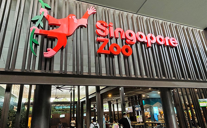 Golden ZOObilee: Singapore Zoo Celebrates 50th Birthday With ART-ZOO & Other Activities
