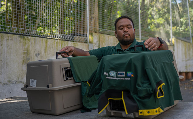 Moving the Birds from Jurong Bird Park to Mandai