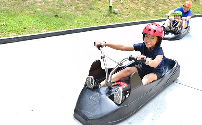 Choose from 4 Exciting Trails - Skyline Luge Sentosa
