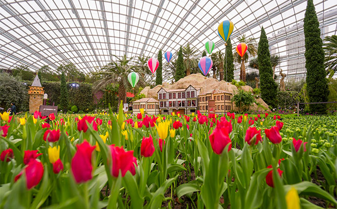 Tulipmania 2023: Origins of the Tulip – Türkiye Theme At Gardens By The Bay Flower Dome