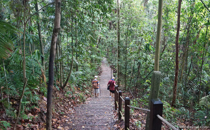 Trekking along the Dairy Farm Loop