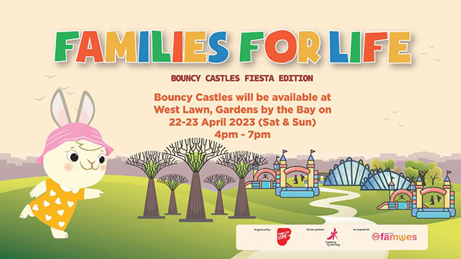 Families for Life (FFL) Bouncy Castles Fiesta