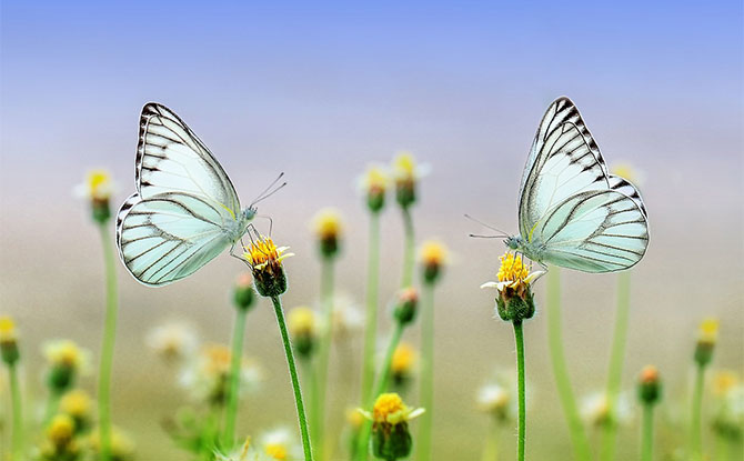 20+ Funny Spring Jokes To Brighten Up The Season 20+ Funny Spring Jokes To Brighten Up The Season