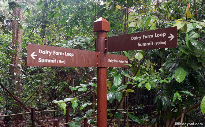 Dairy Farm Loop: Stairway to the Summit 3 Choose your path on the Dairy Farm Loop